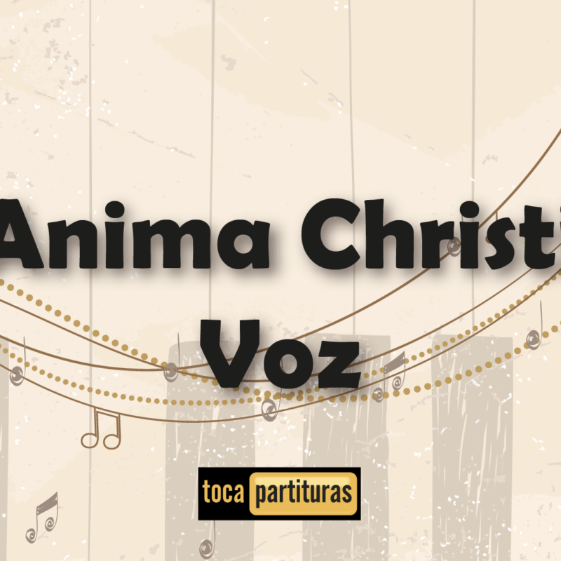Imagen de Musica capilla anima christi voz